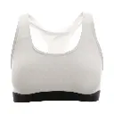 5.webp
